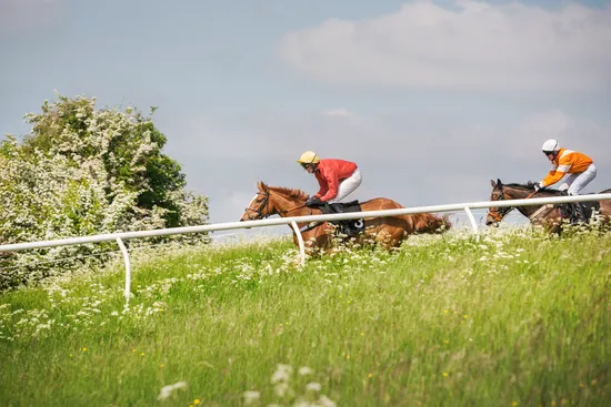 What are the Best Betting Strategies for Different Horse Race Track Surfaces?